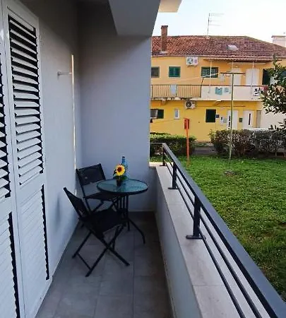 Smokva Zara